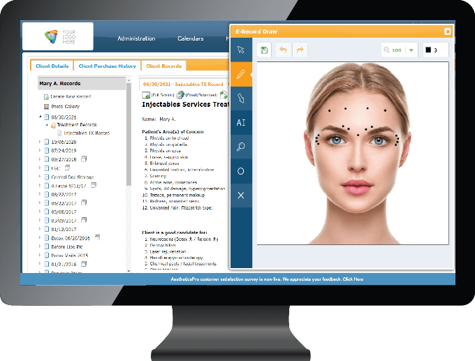 AestheticPro spa software interface
